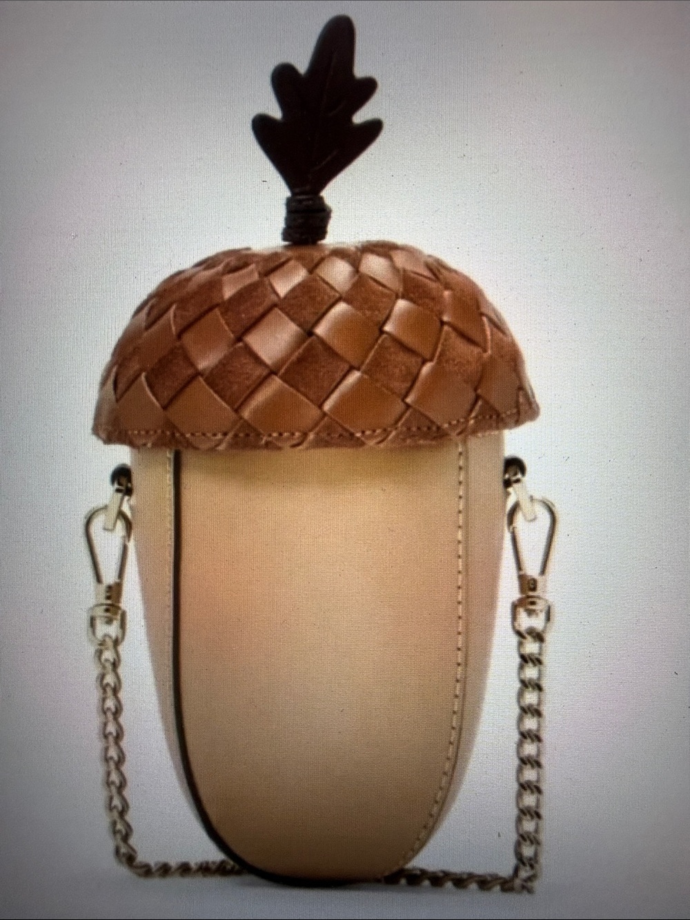 NWT Kate Spade New York Take a Hike 3D Acorn Crossbody